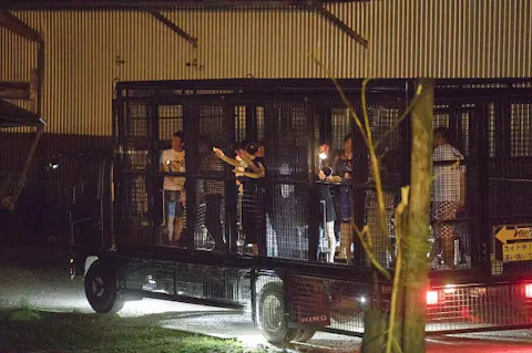 那須サファリパーク WILDRIDE ナイト乗車券(入園料別途)＊要予約＊