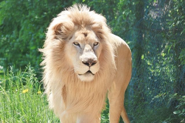 4861eba7-577a-4c31-9af7-