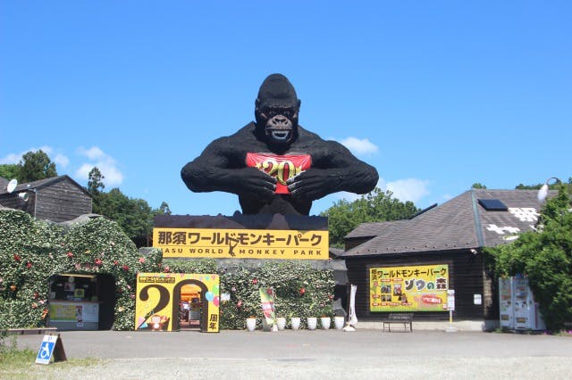 那須ワールドモンキーパーク｜割引チケット・クーポンならアソビュー！