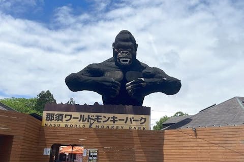 那須ワールドモンキーパーク 前売り入園券