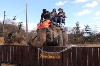 前日まで購入可能！】那須ワールドモンキーパーク ゾウさんとハッピー