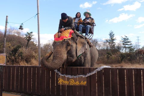 【前日まで購入可能！】那須ワールドモンキーパーク ゾウさんとハッピーバースデー予約券付き前売入園券