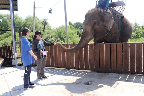 【購入翌日から利用可】那須ワールドモンキーパーク満喫クーポン付前売り入園券（エサ券付）