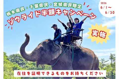 【栃木・千葉・宮城県民限定】2026年6月ゾウライド半額！「那須ワールドモンキーパーク※入園券込み」