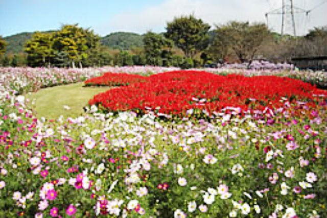 10%割引】農業公園 信貴山のどか村 入園チケット｜アソビュー！