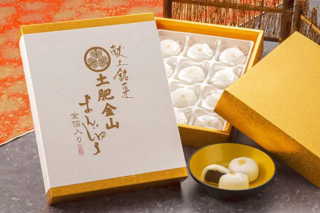 お得な前売券】観光坑道＆資料館 共通入館券 - 土肥金山