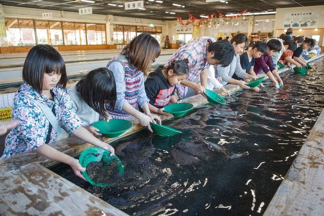 入場(坑内めぐり・資料館)&砂金採り体験セット割引き - 土肥金山