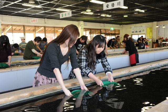 入場(坑内めぐり・資料館)&砂金採り体験セット割引き - 土肥金山