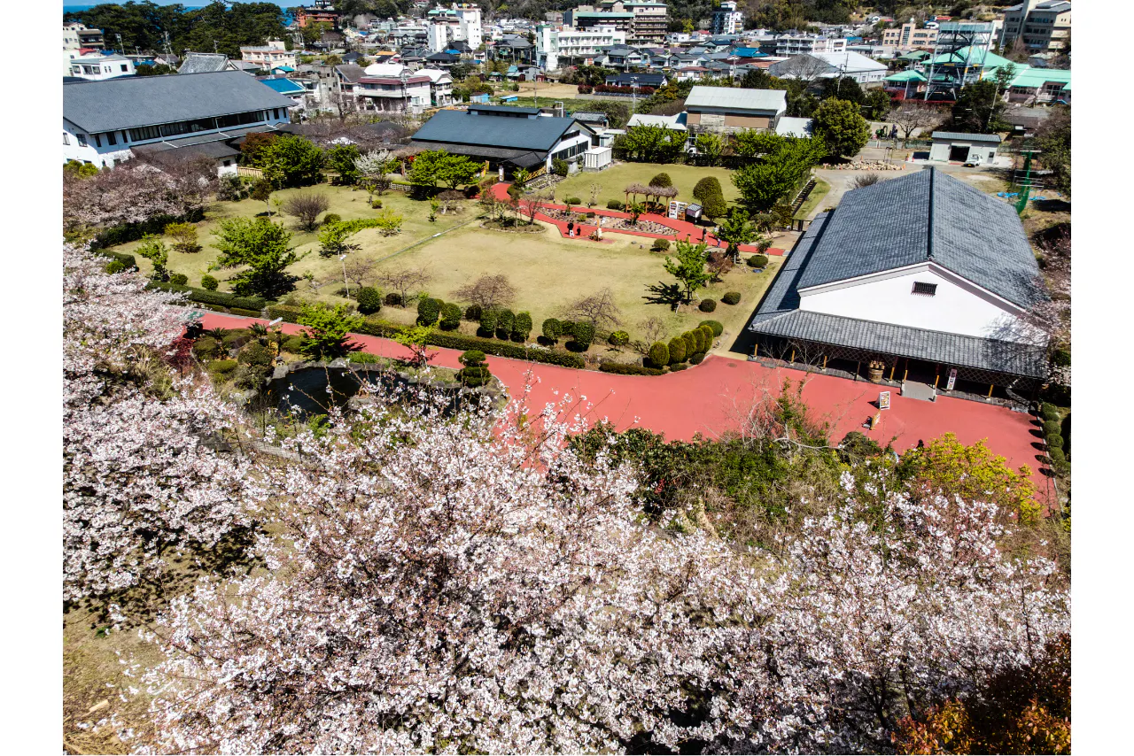 平日限定・開運セット】入場（開運黄金ノ庭＆黄金鳥居＆金抗めぐり＆山