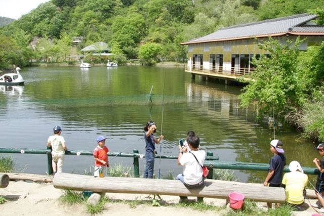 100円割引】ロマンの森共和国 クーポン（入園券） - ロマンの森共和国