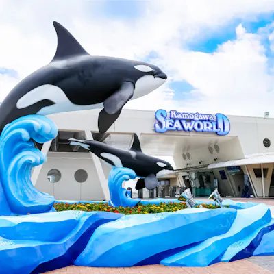 鴨川シーワールド|割引チケット・クーポンならアソビュー! 鴨川シーワールド|割引チケット・クーポンならアソビュー!