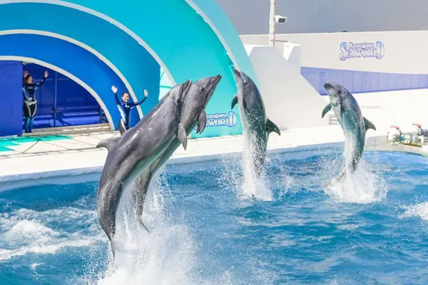 鴨川シーワールド　7月31日(日曜日)指定入館券 公式＞鴨川シーワールド-東京・千葉の水族館テーマパーク