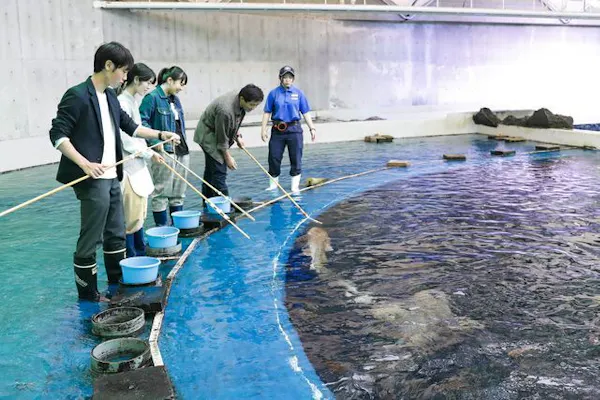 鴨川シーワールド　7月31日(日曜日)指定入館券 2025】鴨川シーワールドの割引情報と料金を解説！前売り券やシニア割引