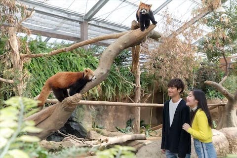 兵庫の遊園地 テーマパーク 公園 一覧 遊び予約 レジャークーポン アソビュー