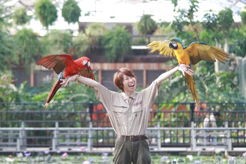 兵庫の遊園地 テーマパーク 公園 一覧 遊び予約 レジャークーポン アソビュー