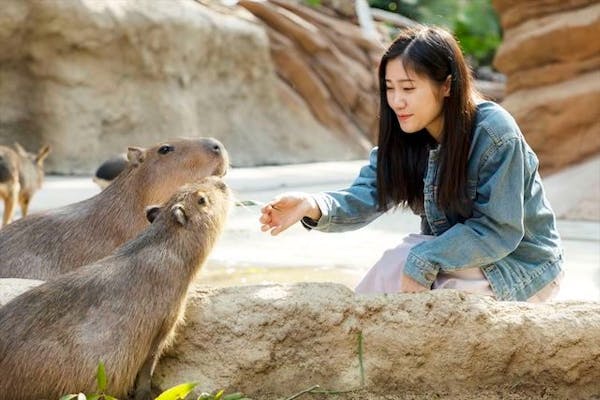 神戸どうぶつ王国の前売りチケット 割引情報 アソビュー