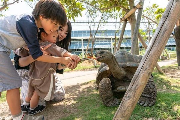 神戸どうぶつ王国 入園券 大人４人分