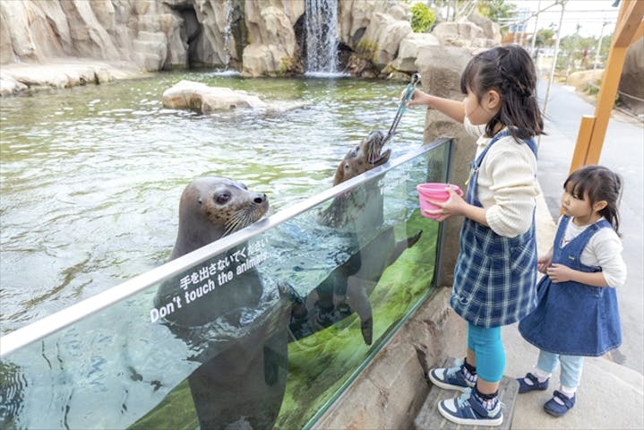 6 割引 神戸どうぶつ王国 割引チケット クーポンならアソビュー