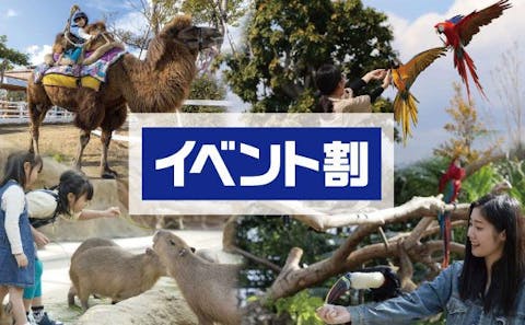 兵庫の遊園地 テーマパーク 公園 一覧 遊び予約 レジャークーポン アソビュー