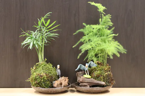 【神戸どうぶつ王国　期間限定】 ~週末！植物ワークショップ~