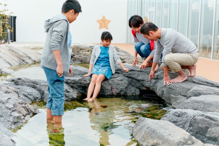 仙台うみの杜水族館 割引チケット クーポンならアソビュー