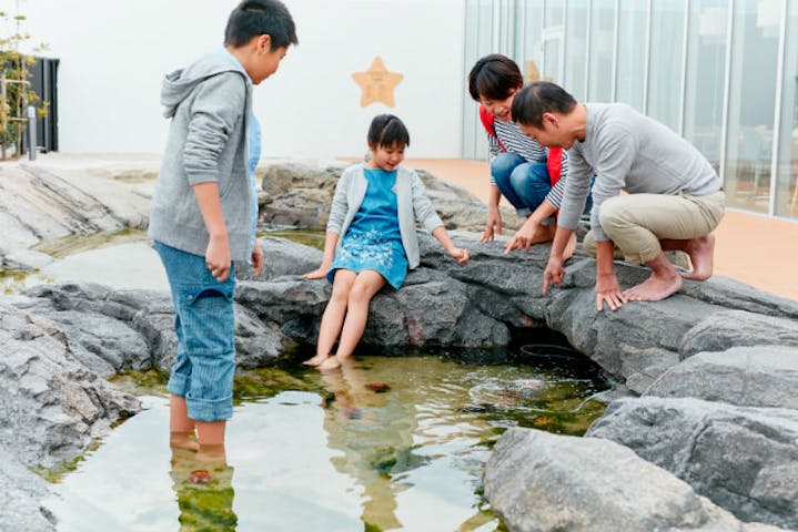 仙台うみの杜水族館 割引チケット クーポンならアソビュー 仙台うみの杜水族館 割引チケット クーポンならアソビュー