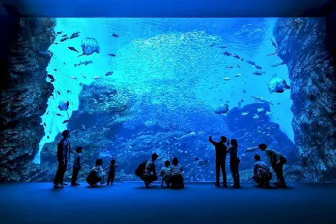 【2026年度】仙台うみの杜水族館　チケット売場に並ばずに入館できる WEB入館券