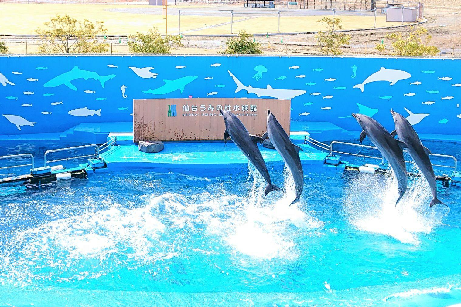 仙台 水族館 ペット オファー