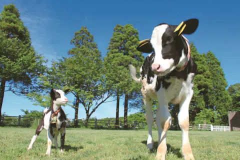 成田 体験 遊び おすすめ選 レジャー予約は アソビュー