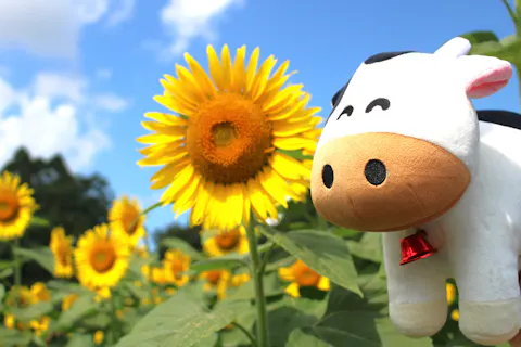 閉園2時間前～約半額に⁉【涼しくオトクに牧場散歩】真夏のおさんぽ割り