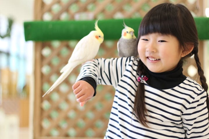 Moff animal world BIGHOPガーデンモール印西店