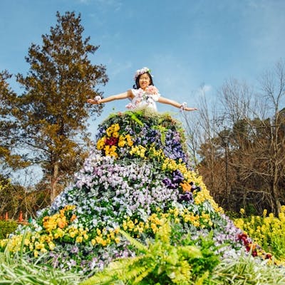 最大0円割引 大阪府立花の文化園 入園チケット 前売り ショップ レストラン商品券1000円 アソビュー 最大0円割引 大阪府立花の文化園 入園チケット 前売り ショップ レストラン商品券1000円 アソビュー