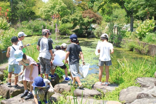 最大0円割引 大阪府立花の文化園 入園チケット 前売り ショップ レストラン商品券1000円 アソビュー