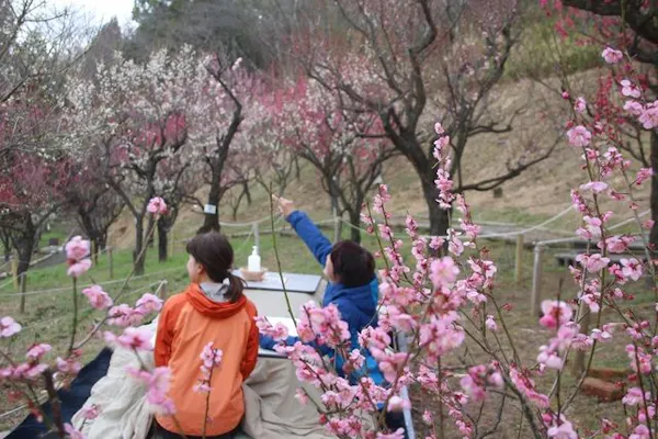 最大0円割引 大阪府立花の文化園 入園チケット 前売り ショップ レストラン商品券1000円 アソビュー