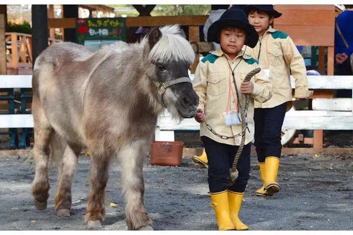まかいの牧場 割引チケット クーポンならアソビュー
