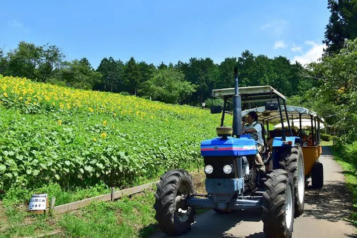 まかいの牧場 割引チケット クーポンならアソビュー