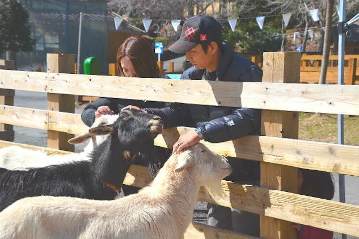 まかいの牧場 割引チケット クーポンならアソビュー
