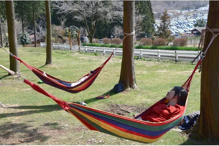 まかいの牧場 割引チケット クーポンならアソビュー