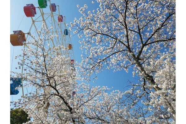 最大200円割引】東条湖おもちゃ王国 クーポン（入園券／キングフリー