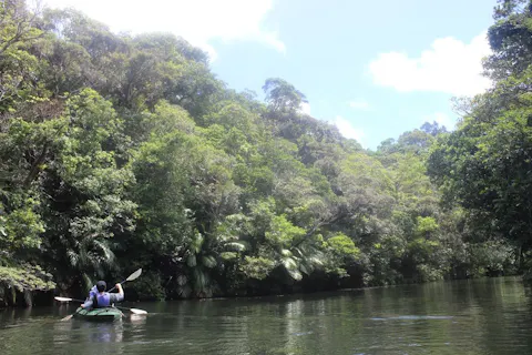 貸しカヌー体験（入園料金含む）ビオスの丘 
