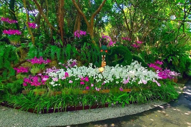 らんの花祭り 秋・入園