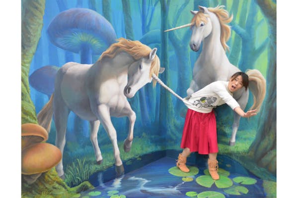 12 割引 那須とりっくあーとぴあ クーポン トリックアートの館 入館 体験 アソビュー 12 割引 那須とりっくあーとぴあ クーポン トリックアートの館 入館 体験 アソビュー