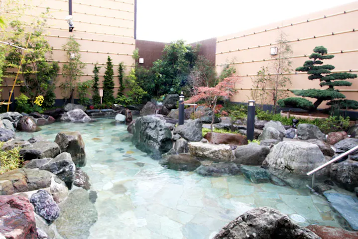 平日 最大100円割引 コロナの湯 豊川店 入泉 健美効炉利用 アソビュー