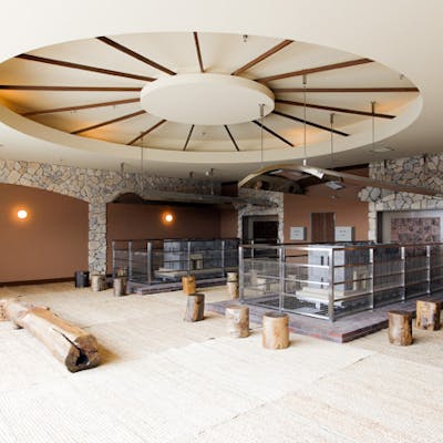 半額 やっぱ広島じゃ割適用プラン 土日祝日限定 天然温泉コロナの湯 福山店 入泉 健美効炉利用 アソビュー 半額 やっぱ広島じゃ割適用プラン 土日祝日限定 天然温泉コロナの湯 福山店 入泉 健美効炉利用 アソビュー