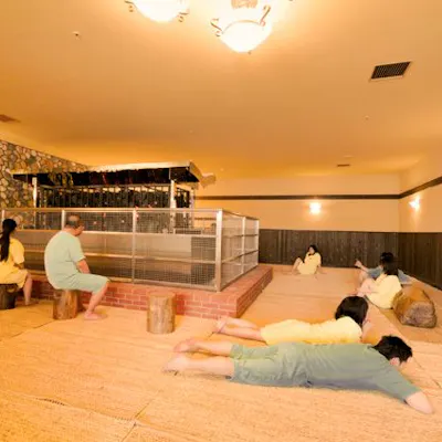 最大100円割引】天然温泉コロナの湯 小倉店クーポン(入泉+健美 最大100円割引】天然温泉コロナの湯 小倉店クーポン(入泉+健美