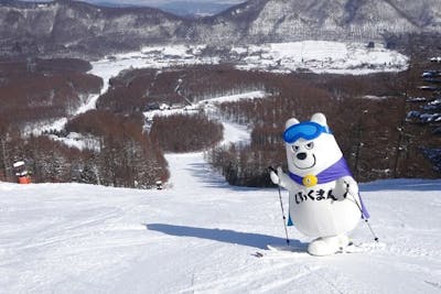 全日利用可】ブランシュたかやまスキーリゾート 早割大人（1日リフト券