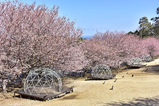 最大200円割引】伊豆ぐらんぱる公園 WEBチケット（DAY） - 伊豆ぐらんぱる公園