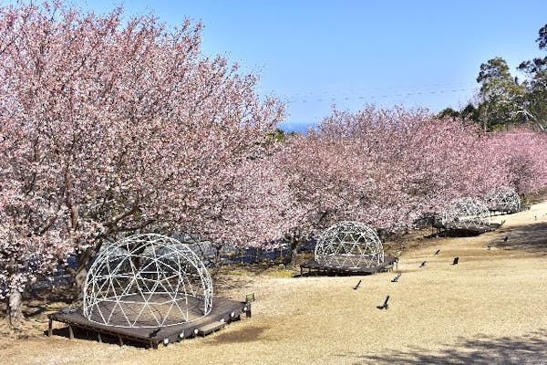 最大200円割引】伊豆ぐらんぱる公園 WEBチケット（DAY）｜アソビュー！