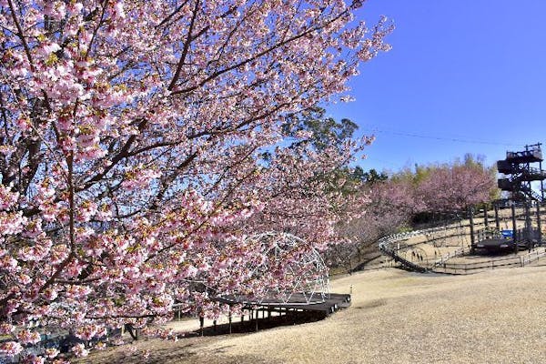 最大200円割引】伊豆ぐらんぱる公園 WEBチケット（DAY）｜アソビュー！