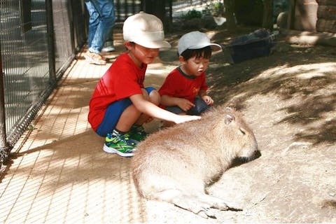 超特割！【300円引き】阿蘇カドリー・ドミニオン　ペア券＜大人（高校生以上）＋小学生＞8/31まで